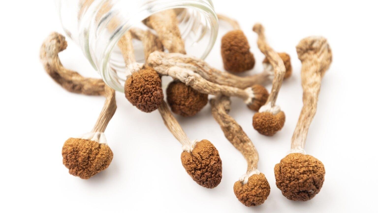 white jedi mind fuck white jedi mind fuck