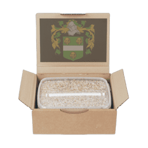 mondo mushroom grow kit